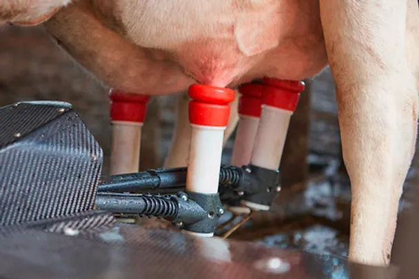 HWS_Melkroboter_074_rdax_439x329