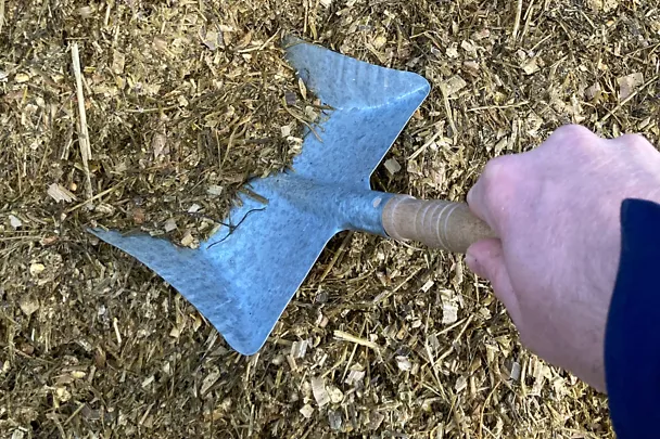 Mit dem Schaufeltest die Selektion sichtbar machen