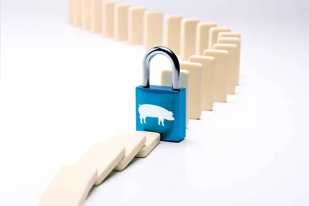 SCHAUMACID- hranidbene kiseline