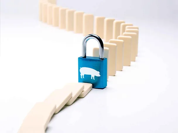 SCHAUMACID- hranidbene kiseline