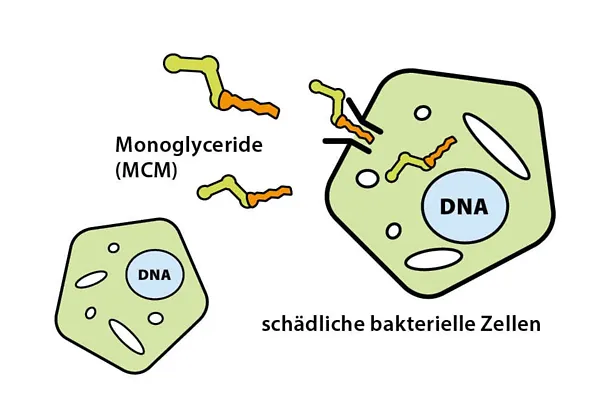 Monogliceridi Monogliceridi