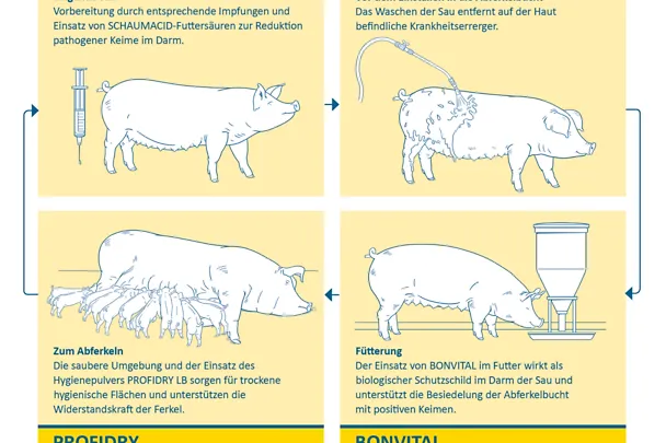 higijenski koncept higijenski koncept